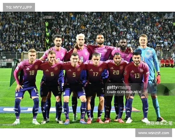 波黑足球队队员名单